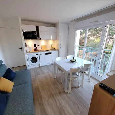 200m De La Piscine Wifi T3 38 M2 6 Pers 2 Ascenseur Cabourg