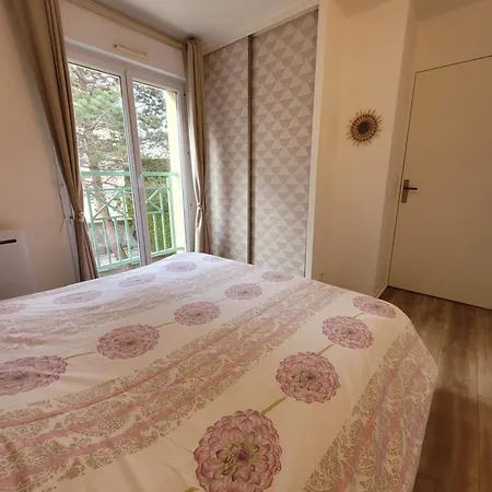 200m De La Piscine Wifi T3 38 M2 6 Pers 2 Ascenseur קאבורג