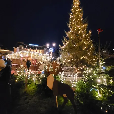 200m De La Piscine Wifi T3 38 M2 6 Pers 2 Ascenseur Cabourg