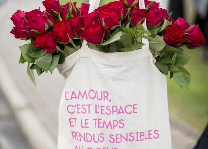 Appartement 200m De La Piscine Wifi T3 38 M2 6 Pers 2 Ascenseur