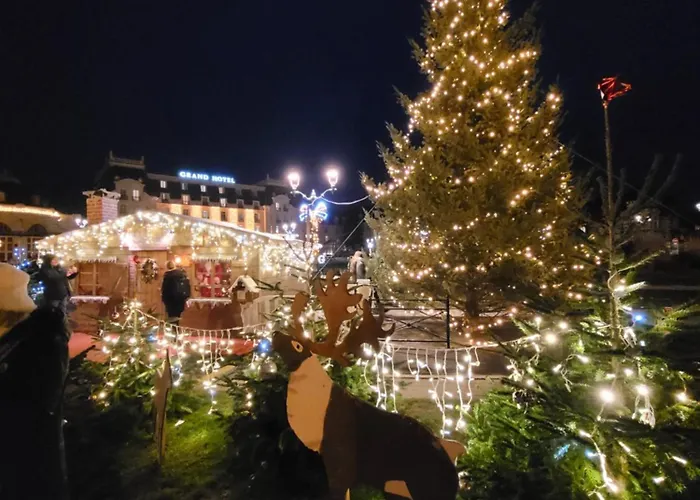 200m De La Piscine Wifi T3 38 M2 6 Pers 2 Ascenseur Cabourg